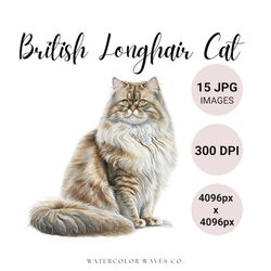 British Longhair Cat JPG | Watercolor British Cat Clipart Bundle | Cute Pet Portrait | Kitten Junk Journal | Digital Pla