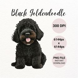 Black Labradoodle Puppy PNG | Dog PNG | Black Goldendoodle | Dog Clipart | Dog Mug Sublimation Design | Dog Lover Gift |