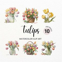 Tulip Clipart | Watercolor Tulip PNG | Floral PNG | Summer Clipart | Flowers Clipart | Wedding Invitation | Transparent