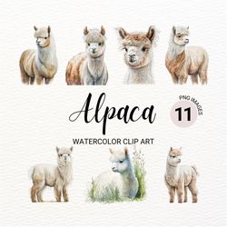 Watercolor Alpaca Clipart | Farm Animals PNG | Nursery Wall Art | Baby Animals | Kawaii Clipart | Junk Journal | Commerc