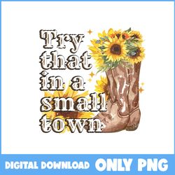 Try That In A Small Town Png, Sunflowr Png, Cowboy Png, Jason Aldean Png, Country Music Png - Instant Download