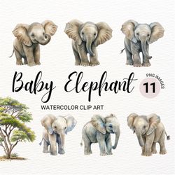 baby elephant png | baby animals clipart | watercolor elephant clipart | elephant baby shower clipart | animal clipart |