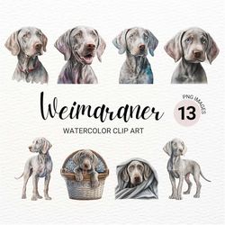 Weimaraner Clipart | Dog PNG | Watercolor Dog Clipart | Dog Portrait | Weimaraner Dog | Puppy Images | Nursery Wall Art