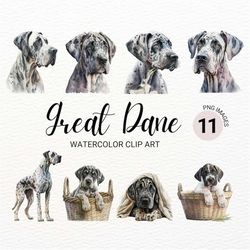 Great Dane Clipart | Dog PNG | Watercolor Dog Clipart | Dog Portrait | Great Dane Dog | Puppy Images | Nursery Wall Art