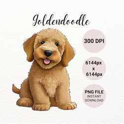 Goldendoodle Puppy PNG | Dog PNG | Golden Doodle Clipart | Cute Dog Clipart | Dog Mug Sublimation Design | Dog Lover Gif