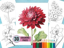 Flower Coloring Pages, 30 Printable PDF Pages for Adults and Kids, Grayscale Coloring Page, Instant Download