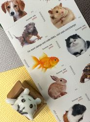 Pets Celebrate Animals 2016 – All Brand New Forever Stamps 100 Unused US Forever First Class - Postage Stamps