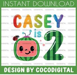 Cocomelon Personalized Name And Ages Birthday PNG, Cocomelon Brithday png,Cocomelon Family Birthday png, Watermelon