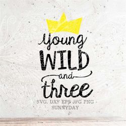 Young Wild and Three SVG,3rd Birthday,Third Birthday,Three years old,DXF Silhouette Print Vinyl Cricut Cutting SVG T shi