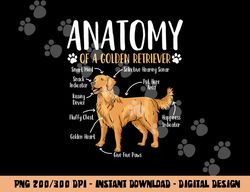 Golden Retriever Dog Anatomy  png, sublimation copy