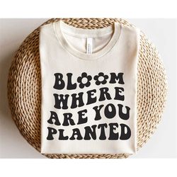 Bloom where you are planted svg, Daisies svg, Wildflower svg, Inspirational shirt svg, Positive quotes svg, Gardening sv