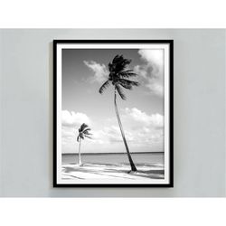Palm Tree in Miami Beach Print, Black and White Wall Art, Summer Poster, Beach Themed Decor, Coastal Framhouse Prints, D