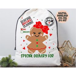 Gingerbread Santa Sack Svg, Png, Jpg, Dxf, Christmas Gift Bag Svg, Santa Present Bag Svg Design, Special Delivery Svg, S