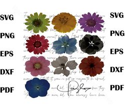 Taylor Swiftie Flowers PNG Taylor Concert 2023 PNG Download, music tou
