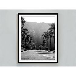 Hawaii Print, Black and White, Hawaii Wall Art, Vintage Poster, Street Photography, Palm Tree Print, Digital Download, P
