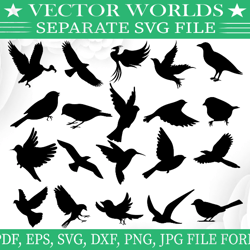 Bird svg, Birds svg, Sky, Fly, SVG, ai, pdf, eps, svg, dxf, png, Vector
