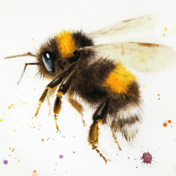 Bumblebee - Flutterby Bumblebee - original watercolor painting