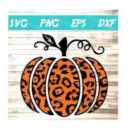 Halloween leopard print Pumpkin svg