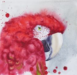 Scarlet macaw head  Ara macao Red Parrot original watercolor
