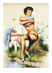 Vintage Pin Up Girl - Cross Stitch Pattern Counted Vintage PDF - 111-452