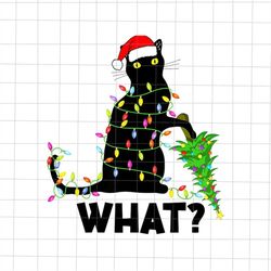 Black Cat What Christmas Png, Black Cat Pushing Christmas Tree Png, Funny Black Cat Xmas Tree Png, Cat Christmas Png