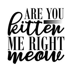 Are you kitten me right meow svg, Pet Svg, Cat Svg, Cat lover Svg, Cute Cats Svg