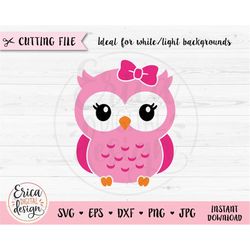 Cute Owl SVG Baby owl with bow cut file Sweet Little owl Baby Shower Girl Shirt Bodysuit Kawaii Animal Kids Birthday Sil