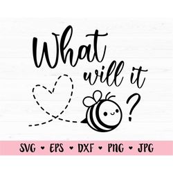 Gender Reveal SVG What will it Bee Boy or girl svg Baby Shower cut file Pregnant Maternity Birth announcement Silhouette