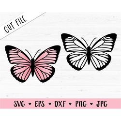 butterfly svg pink butterfly cut file monarch butterflies outline beautiful insect freedom silhouette cricut vinyl decal