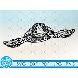 Sea Turtle svg, seaturtle svg, ocean svg files for cricut. Svg, Png, dxf files. Sea Turtle cut file clipart seaturtle  S
