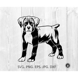 boxer svg,peeking boxer dog breed,boxer puppy little,cute funny boxer,head,color,clipart,vector,cricut,print file,downlo