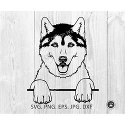 Siberian Husky SVG, Peeking Smiling Happy Dog Puppy Clipart, Art Vector, Animal Pet Cut Out Files, Digital Download, Vin