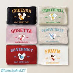 Disney Tinkerbell Characters Sweatshirt, Disney Fairy Shirt, Magic Kingdom Shirt, Rosetta hoodie, Tinkerbell and the Pir