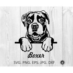 boxer svg,peeking boxer dog breed,boxer puppy svg,cute funny boxer,head,clipart,vector,cricut,print file,download,png,ep