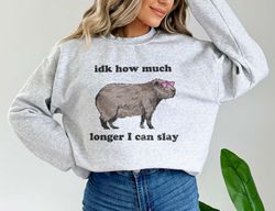 Idk How Much Longer I Can Slay Capybara Sweatshirt Weirdcore Shirts That Go