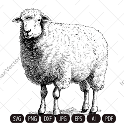 Cute sheep SVG, Farm sheep,Sheep standing, Sheep Clipart, Sheep detailed, Sheep printable, Farm animals, Livestock