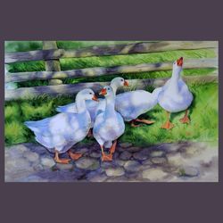 Flock of White Domestic Geese original watercolor painting