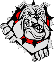 Georgia Bulldogs Svg, Georgia Athentics Svg, National Champions Georgia Bulldogs Svg, Football Shirt, Digital Download