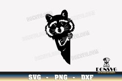 Peekaboo Raccoon SVG Cut Files for Cricut Curious Wild Animal Peeking PNG image Wildlife Nature DXF file
