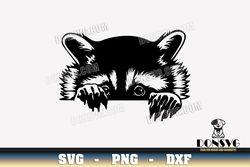 Peeking Raccoon Head svg files for Cricut Silhouette Cameo Cute Animal Face PNG Sublimation Woodland