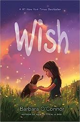 Wish By Barbara O Connor PDF  for kids