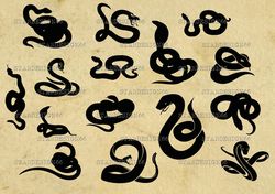 Digital SVG PNG JPG Snakes, silhouette, vector, clipart, instant download