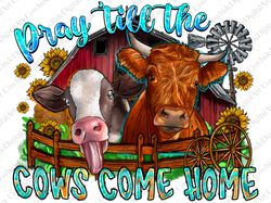 Pray till the cows come home png sublimation design download, hand drawn cow png, western cow png, c