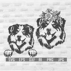 Australian Shepherd svg | Floral Dog svg | Shepherd Dog svg | Dog Cutting File | Dog Clipart | Dog Cutfile | Dog Shirt s