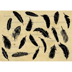 Digital SVG PNG JPG Feathers set, vector, clipart, silhouette, instant download