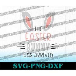 Easter Bunny has arrived SVG, Cricut cut file, easter svg, easter png, cottontail svg, easter bunny svg, Silhoutte file,