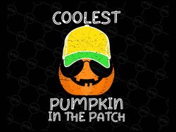 Coolest Pumpkin In The Patch Svg, Kids Halloween svg, Pumpkin Shirt svg - Baby Halloween svg - Svg, Dxf, Png