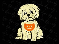 Bichon Frise Ghost Svg, Halloween Svg, Dog svg, Cute puppy face breed, Bichon frise printable, Halloween Dog Lover Svg