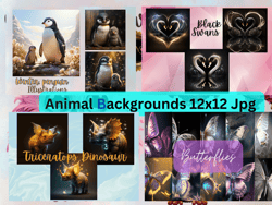 Animals Backgrounds,penguin,swans,dino, butterflies,dogs,turtles,wolves,horses,owl,lion,panda,panther,elephant,Jpg