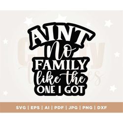 Great Design for Family T-shirts, Hat, Tote Bag, Ain't No Family Like the One I Got Graphic Design, Instant Download, SV